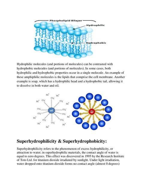 Hydrophilic & hydrophobic assignment