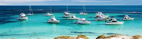 The TOP Rottnest Island Tours, Excursions & Activities | isango.com