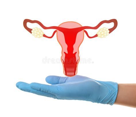 Doctor Demonstrating Virtual Image Of Infected Female Reproductive