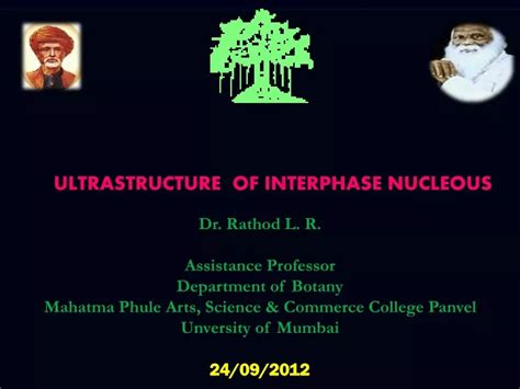 Ppt Ultrastructure Of Interphase Nucleous Dr Rathod L R Assistance Professor Department Of