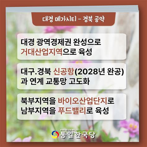 20대 대선 대통령 후보 기호 13번 이경희 지역 공약 대·경 메가시티 경북 통일한국당