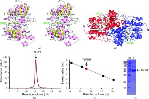 Iucr Structural Insights Into The Efficient Co Reducing Activity