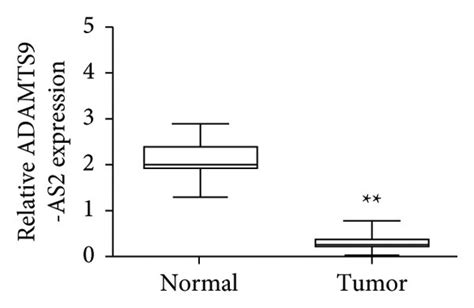 Adamts As Was Decreased In Crc A Heatmap Of The Lncrna Expression