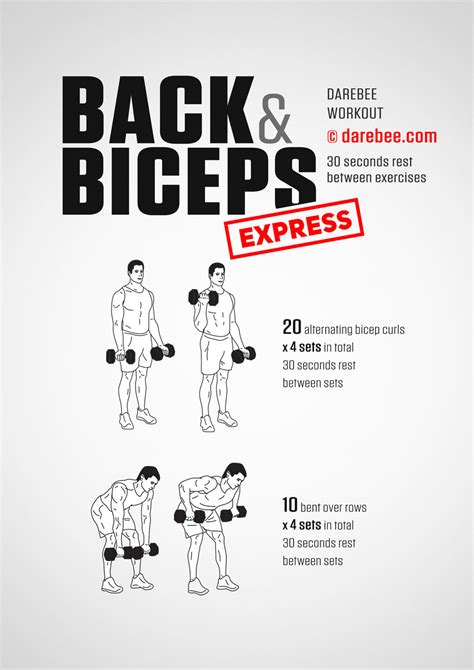 Back And Bicep Workout Without Equipment Off 60