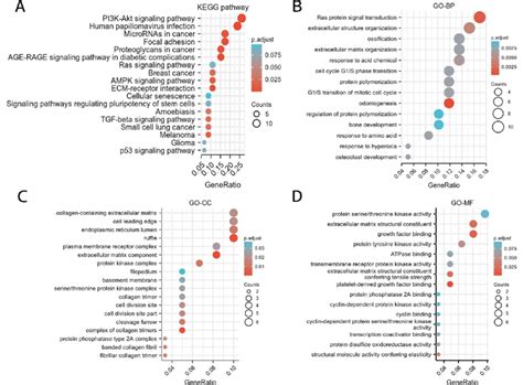 KEGG Pathway And GO Enrichment Analysis Of Hub Genes Related To