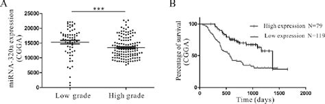 Figure 1 From MiRNA 320a Inhibits Glioma Cell Invasion And Migration By