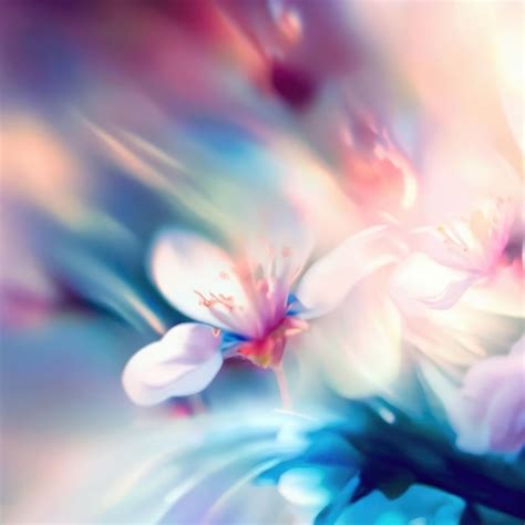 Premium Photo Beautiful Floral Spring Abstract Background Of Nature