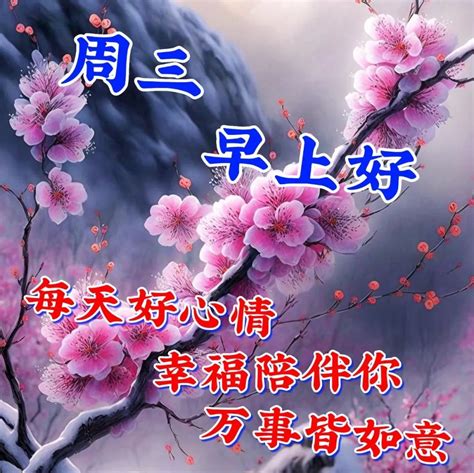 5月3日周三早上好 早安问候语牵挂语祝福 哔哩哔哩