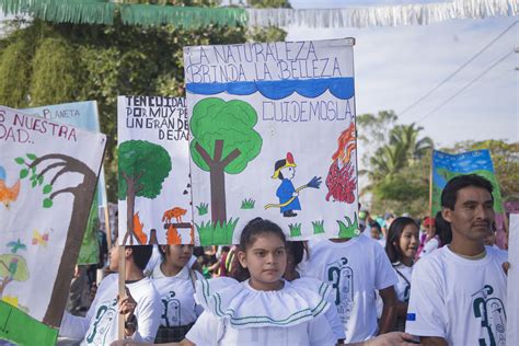 La Ampb Alianza Mesoamericana De Pueblos Y Bosques