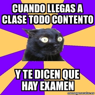 Meme Anxiety Cat Cuando Llegas A Clase Todo Contento Y Te Dicen Que