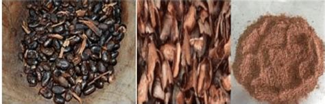 Toasted Cacao Beans Husk And Powered Drug Gas 16 Barrier Gas 3