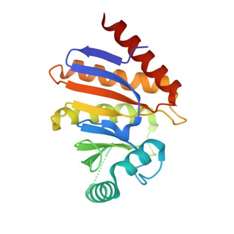 Gene Q8IXQ6 Protein PARP9 Overview CanSAR Ai