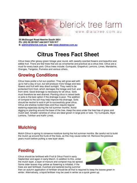 Citrus Trees Fact Sheet And Guide Pdf Citrus Orange Fruit