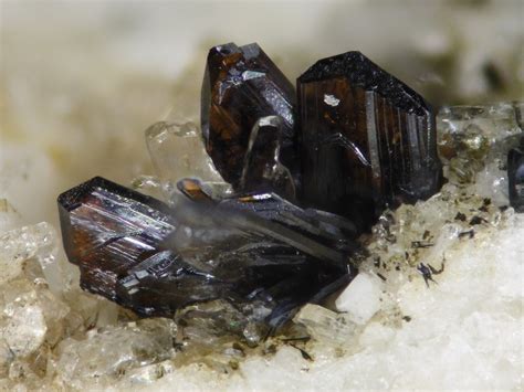 Tephroite Mn22sio4 Laacher See Volcanic Complex Germany Fov 3 Mm