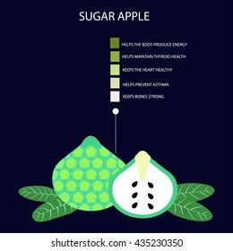 Sugar Apple Custard Apple Benefits Stock Vector (Royalty Free) 435230350 | Shutterstock