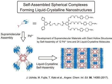 Liquid Crystal Polymer Applications at Richard Williamson blog