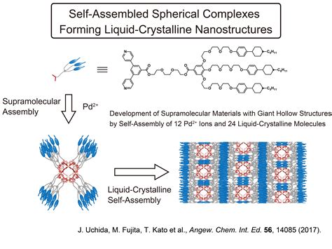 Liquid Crystal Polymer Applications at Richard Williamson blog