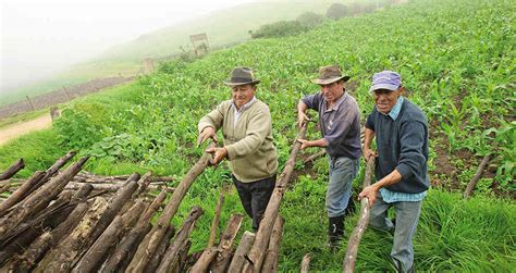 Descubre Todo Sobre La Agricultura En Colombia Y Mucho M S 8874 The