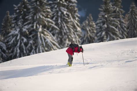 Skier Resting In Deep Snow After Recreational Skiing Stock Photo