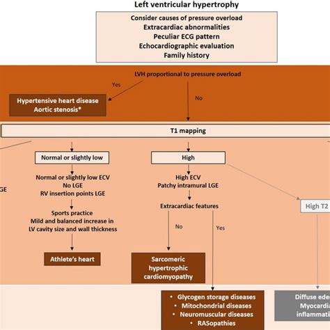 Left Ventricular Hypertrophy Patterns In Hypertrophic Cardiomyopathy