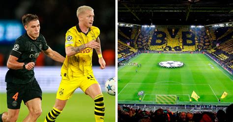 Der Bvb Empfängt Psg In Der Champions League Tipp Prognose And Quoten