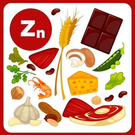 Premium Vector Illustrations Food With Mineral Zinc