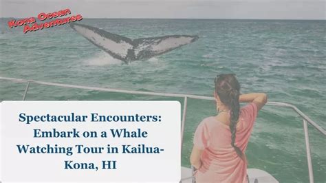 Ppt Spectacular Encounters Embark On A Whale Watching Tour In Kailua