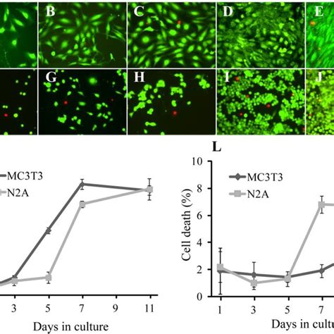 Representative Microphotographs Showing The Evolution Of Mc T A E