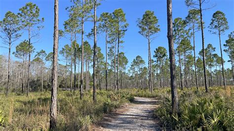 Conservation Park, Panama City Beach – Florida Hikes