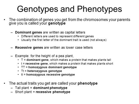 Genotype Vs Phenotype Venn Diagram