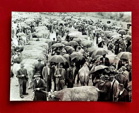 Ilanz Braunviehmarkt Marktplatz Alte Photo Kaufen Auf Ricardo