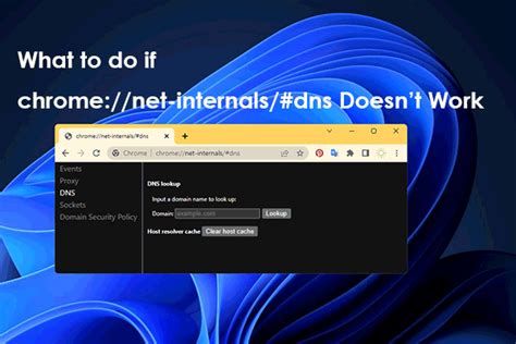 Chrome Net Internals Dns How Does It Work And How To Fix It MiniTool