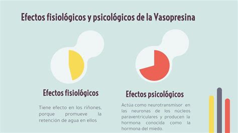 Tomidigital Los Neurotransmisores