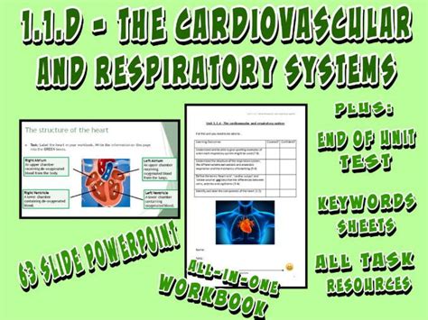 OCR GCSE PE 9 1 2016 Applied Anatomy And Physiology Complete Units