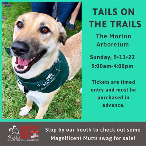 Tails On The Trails Magnificent Mutts Rescue