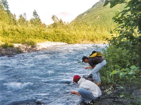 Iditarod National Historic Trail National Trails Guide