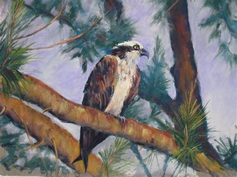 Osprey Painting At Paintingvalley Explore Collection Of Osprey