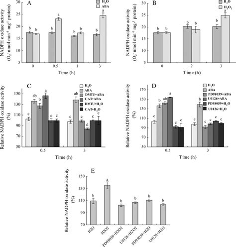 Regulation Of Plasma Membrane NADPH Oxidase Activity By ABA H2O2 And