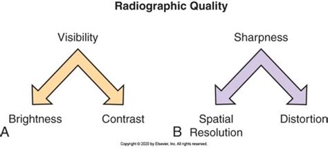 Radiographic Exposure Technique Flashcards Quizlet