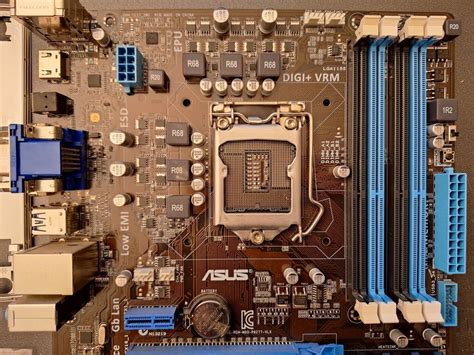 Asus P Z V Lx Motherboard Intel Z Lga Atx Kaufen Auf Ricardo