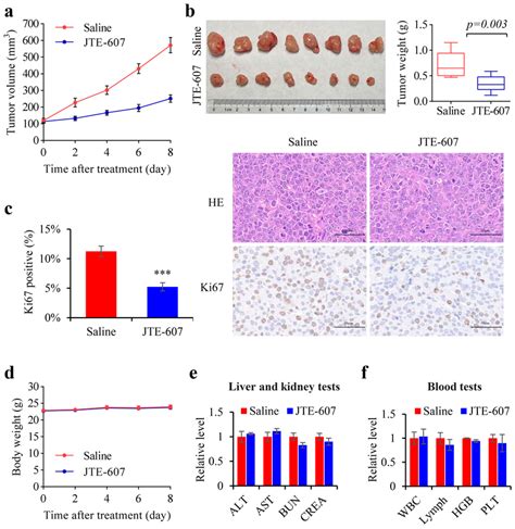 Efficacy And Safety Of Jte In Tumor Bearing Nude Mice A Tumor