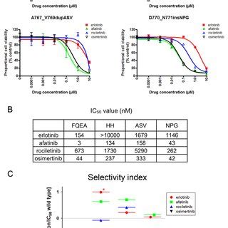 Efficacy Of EGFR TKIs For EGFR Exon 20 Insertion Mutations A MTS