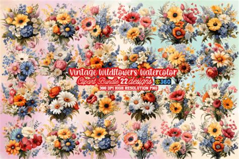 1 Vintage Wildflowers Clipart Designs & Graphics