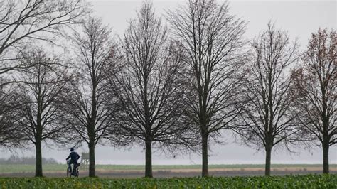 Mecklenburg Vorpommern 2024 wärmstes Jahr in MV seit Beginn der