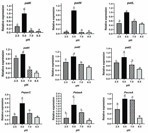 Expression of genes potentially involved in patulin biosynthesis of P ...