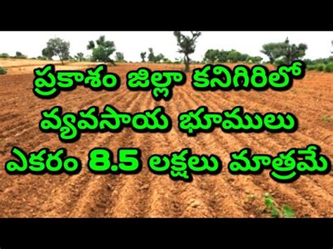 Agriculture Lands For Sale In Prakasam District Farm Lands