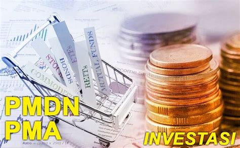 Investasi Pmdn Dan Pma Riau Tertinggi Di Pelalawan