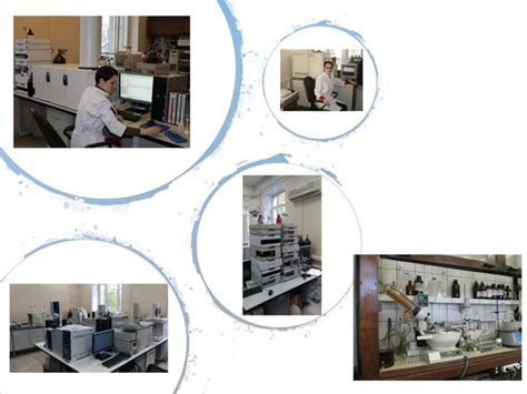 russian federation testing center  soil science faculty