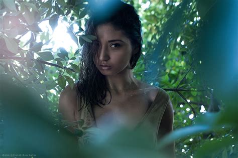 Wallpaper Face Sunlight Leaves Women Model Brunette Plants