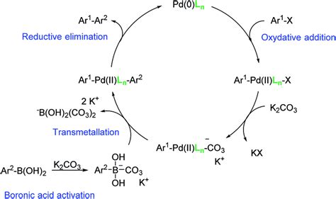 Catalytic Cycle Of The Suzukimiyaura Cross Coupling Reaction